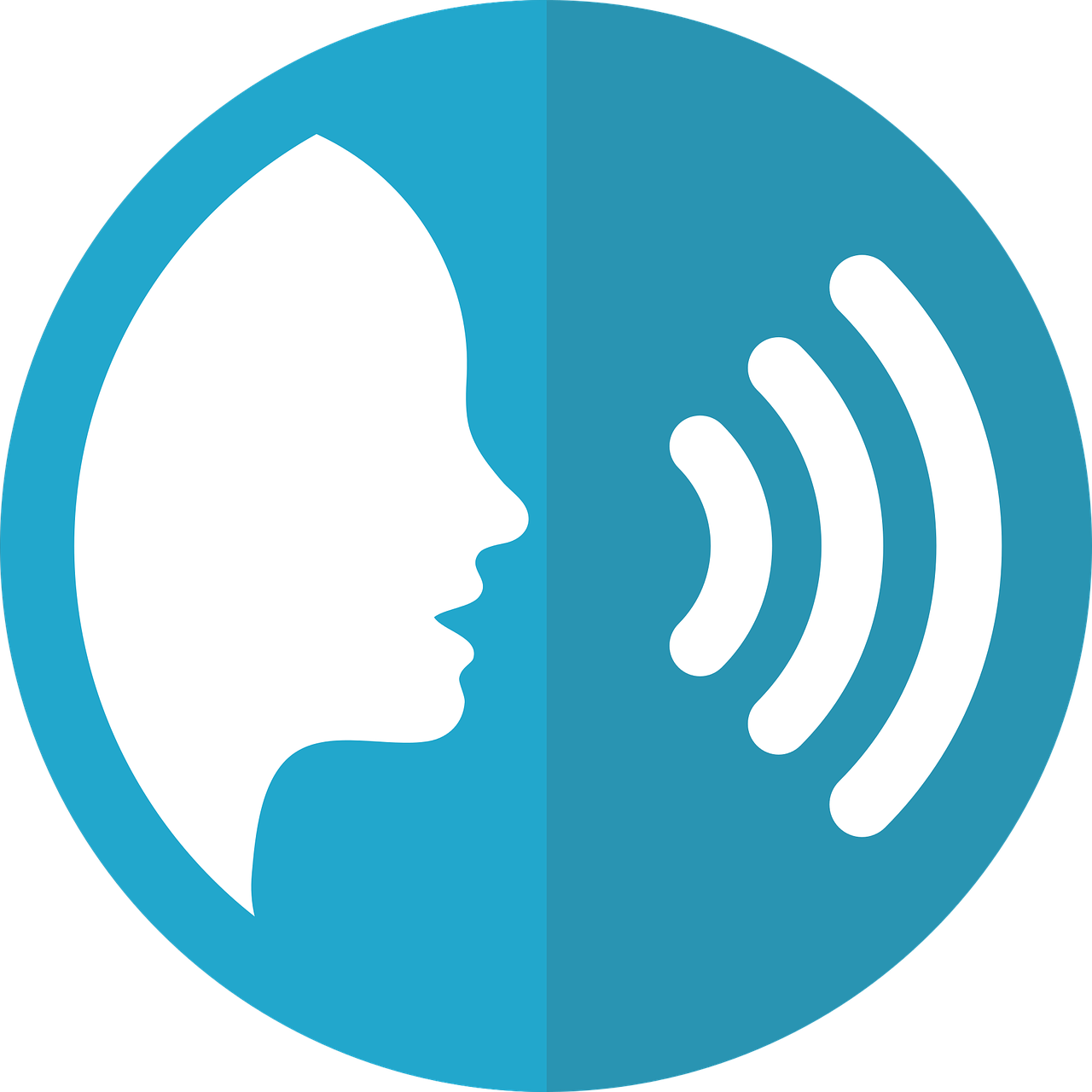 Interview Analysis Icon